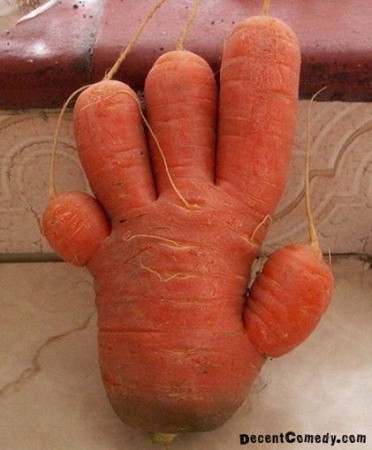 Carrot Hand